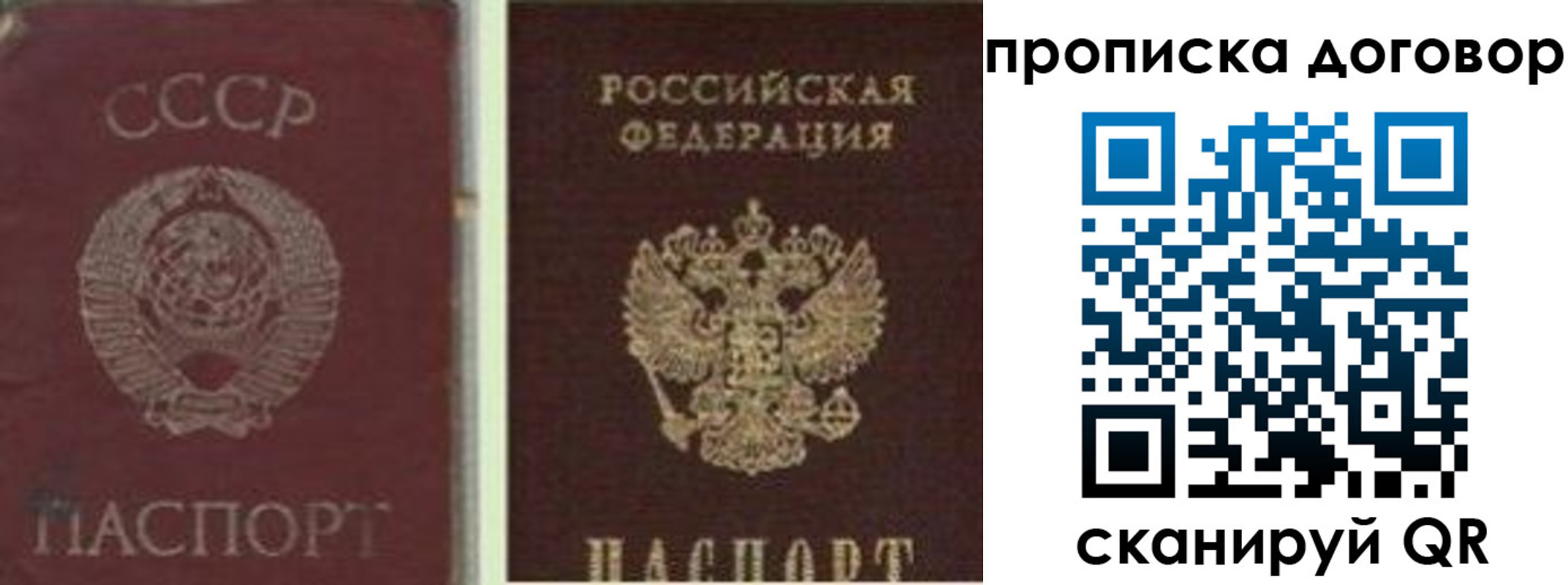 прописка гарантия в Туринске